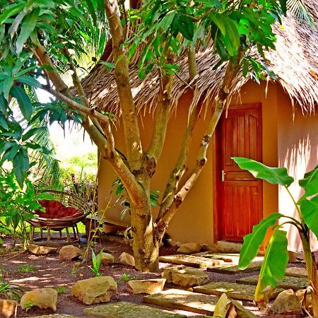 Hostel The Plantation Kampot Exteriér fotografie