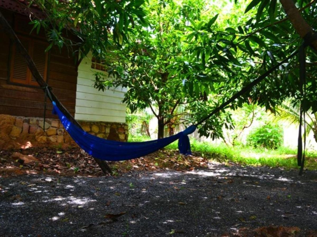 Hostel The Plantation Kampot Exteriér fotografie