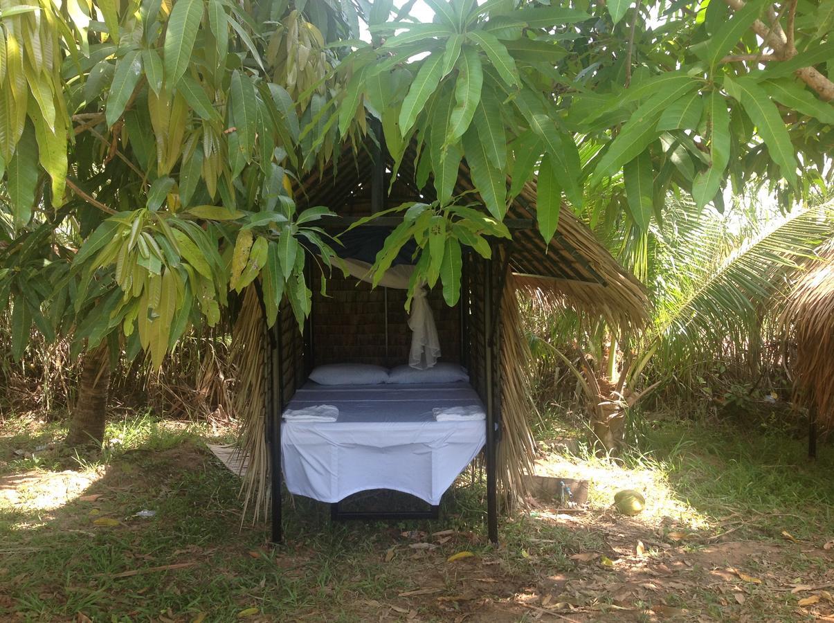 Hostel The Plantation Kampot Exteriér fotografie