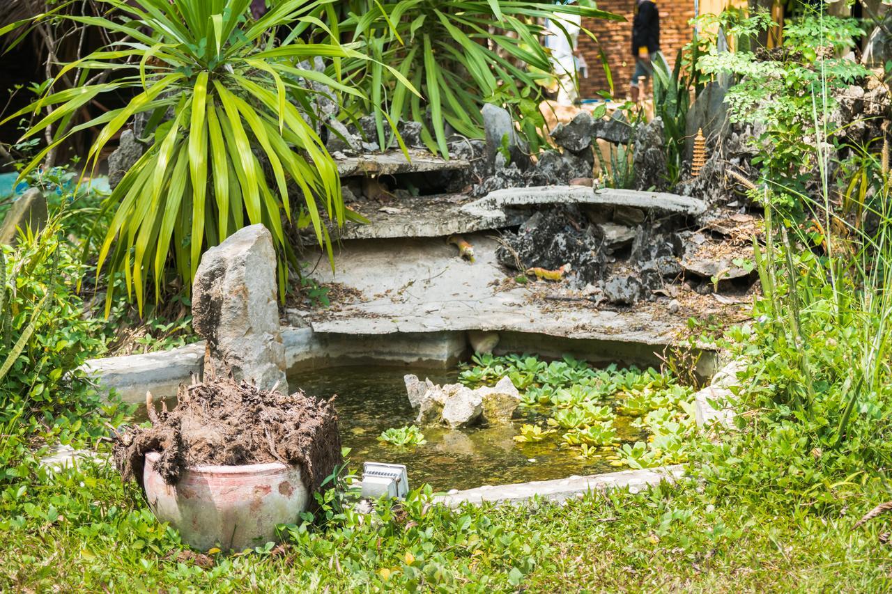 Hostel The Plantation Kampot Exteriér fotografie
